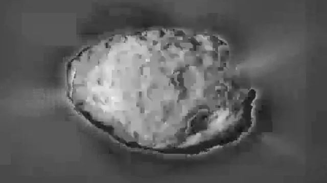 Slideshow av bilder tatt av Wild2 смотреть онлайн