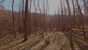 Каменный лог (4)