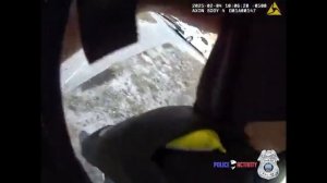 Нательная камера зафиксировала перестрелку между осужденным преступником и полицией Тампы