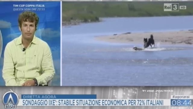 Diego Fusaro ( psico marxista ) tirato giù dal pero da una mitica Claudia Fusani su spiagge per can смотреть онлайн