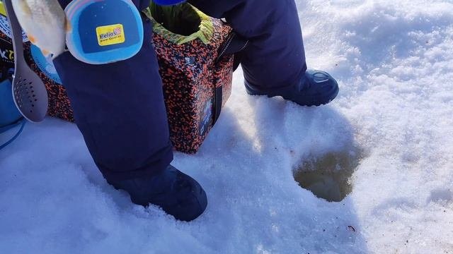 МОЯ СЕКРЕТНАЯ МОРМЫШКА!!! РЫБЫ ГНУТ КИВКИ.#рыболовныйспорт#зимняяловлярыбы#рыбалка