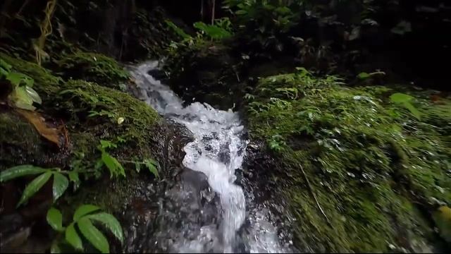 Музыка природы ПОТОК ЧИСТОТЫ смотреть онлайн