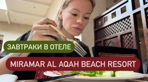 Miramar Al Aqah Beach Resort Чем кормят на завтраки | Утреннее меню 🍳 Мукбанг