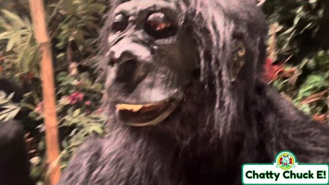 Airing Up The Rainforest Cafe Animatronics! смотреть онлайн