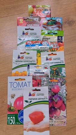 Семена томатов для теплицы