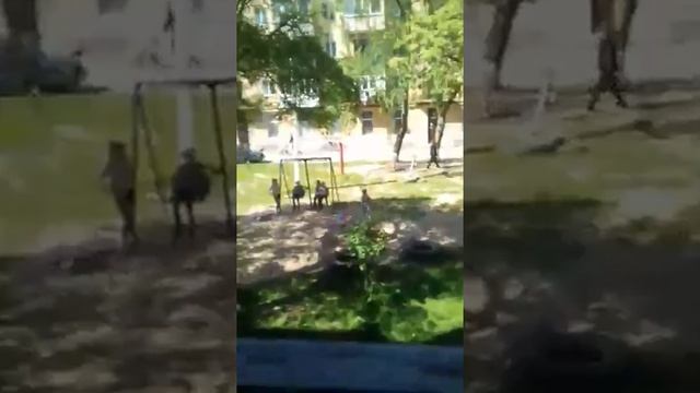 Утро хом'яка (хом'як вернулса)💞👍💜 смотреть онлайн