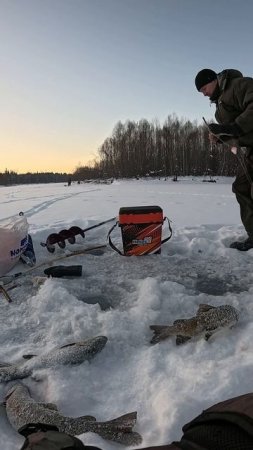 3 Ленка за 30 СЕКУНД! Горная рыбалка