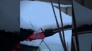 #мерседес #эдит