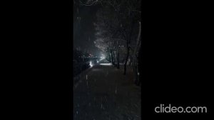 Белый снег