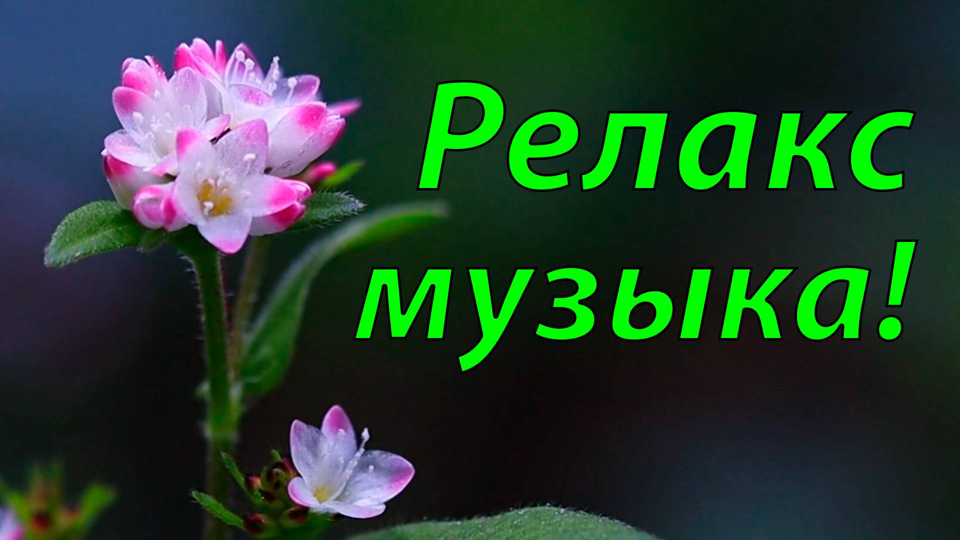 ДУШЕВНАЯ ИСЦЕЛЯЮЩАЯ МУЗЫКА ДЛЯ РЕЛАКСАЦИИ 🎵 УСПОКАИВАЮЩАЯ МУЗЫКА ДЛЯ СНА 🎵 МУЗЫКА ДЛЯ МЕДИТАЦИИ