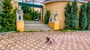 Люська собралась в ДЕТСКИЙ САД, а он оказался закрыт! У Люси радость и мы отправляемся  Жорику!