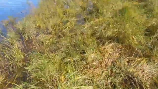 Открытие осеннего сезона смотреть онлайн