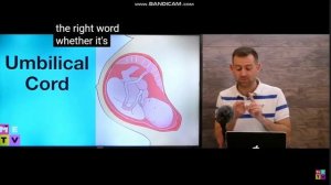 umbilical, telephone, barbed
CORD/ CABLE/ WIRE?
Quiz
Part 1
