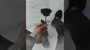 SH Kera ft. Гио Пика - Чёрные Розы