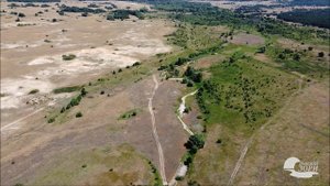 Поника притока Елань