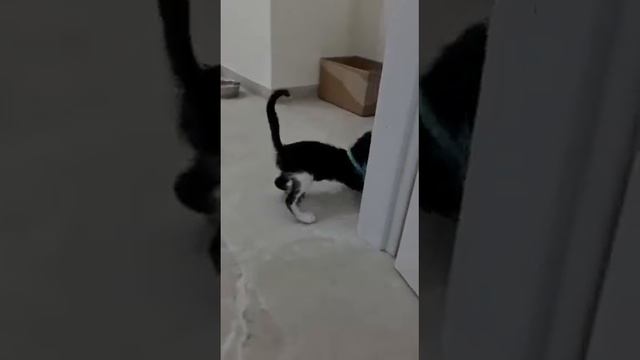 20 ноября 2022 г. смотреть онлайн