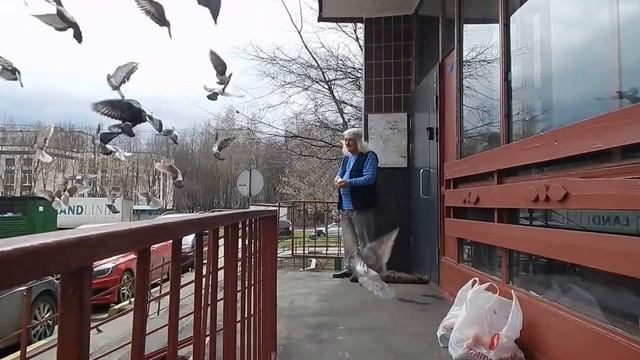 007 11 04 2016 Г Я КУПАЮСЬ В ИХ ВНИМАНИИ !!! смотреть онлайн