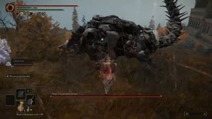 Зверь падающей звезды Elden Ring