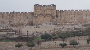 На Сретение. Святая Земля. Автор Мира Ольгина.