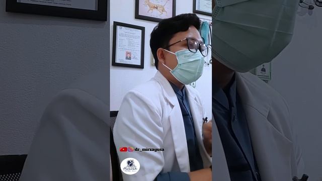 BAHAYA ❗Ini salah satu penyebab perut buncit pada kucing смотреть онлайн