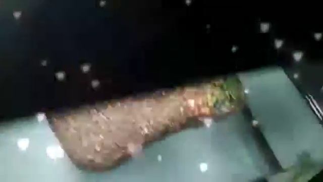 Я уже отчаялась,я думала мы не сможем создать ей те условия в которых Синди смогла бы выжить... смотреть онлайн