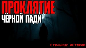 Страшные истории | ужасные истории - Проклятие чёрной пади