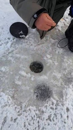 Поимок много не бывает !