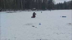 Раттлины, блёсны, паста... Клёвое место, Лосиный остров, верхний водоём.