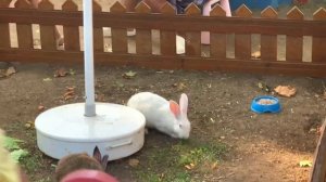 ‼️Отдых с детьми в отеле Botanik Platinum Турция   ‼️