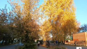 День осенний.