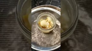 #рецепт гигиенической #помады своими руками