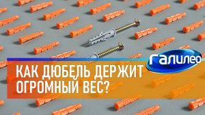 Галилео | Как пластиковые дюбели выдерживают огромный вес?