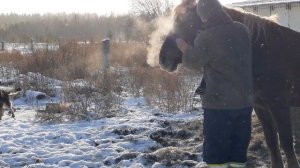 "Нас ПРОСТО меняют Местами, таков ЗАКОН  Сансары"#Баста#сансара#клип