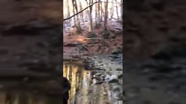 Источник Пания смотреть онлайн