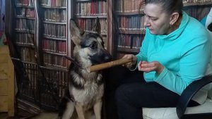 Начинаем апортировку. Первый этап. Команда "возьми"