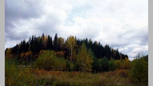 Закажу я два билета