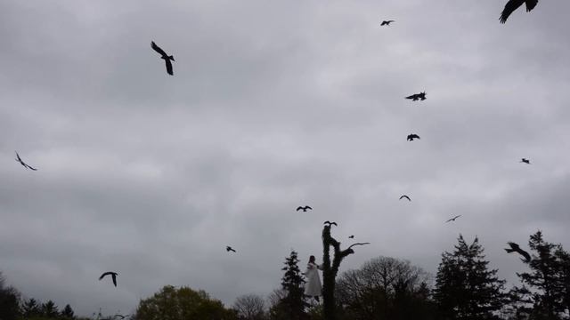Après midi au Puy Du Fou pour découvrir Le Mime et l'Etoile смотреть онлайн