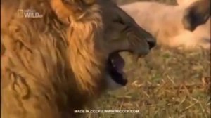 монтажное видео 3