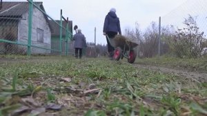 6 соток 31 октября 2020 года. Сформировала карликовую яблоню. Обрезала виноград.