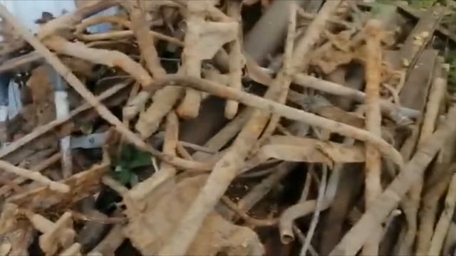 Коп на старой ферме Сколько заработали смотреть онлайн