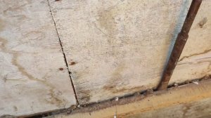 Переделка дорожек в саду. часть 1