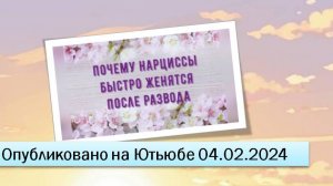 Почему нарциссы быстро женятся после развода (04.02.2024)