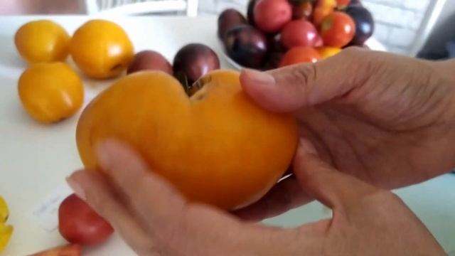 ПОДРОБНЫЙ ОБЗОР СПЕЛЫХ КОЛЛЕКЦИОННЫХ ТОМАТОВ! ДЕГУСТАЦИЯ ТОМАТОВ! САМЫЕ ВКУСНЫЕ ТОМАТЫ В РАЗРЕЗЕ!