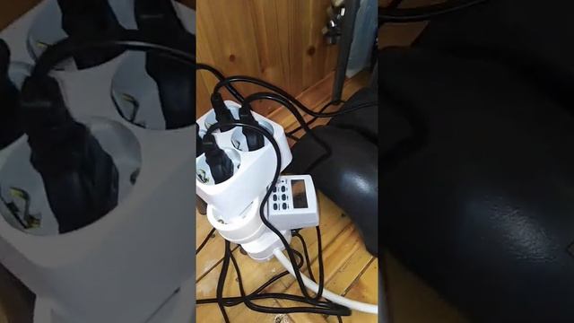 растения на гидропонике.
