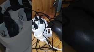 растения на гидропонике.