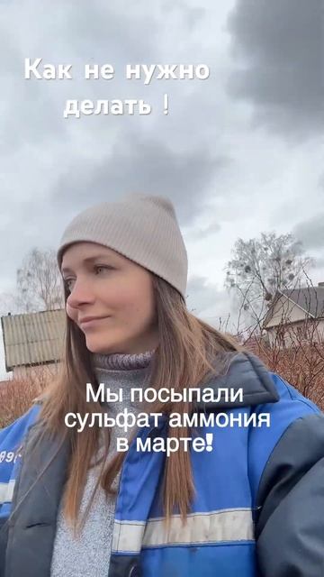 Выращивание голубики #голубика #голубикасадовая #выращиваниеголубики