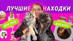 ЗАЧЕМ Я ЭТО КУПИЛА? ТОП ТОВАРОВ ДЛЯ ПИТОМЦЕВ! #cats #top #котики #мейнкун #сибирскаякошка