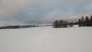 Чермоз №1 СП -Дмитриевское