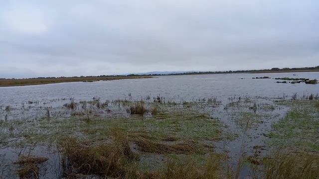 День подранка смотреть онлайн