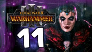 Эльспет фон Дракен Total War Warhammer 3 прохождение за Империю (сюжет) - часть 11